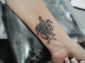 Uno más de ayer en @lienzovivo #tattooshop  Tatuaje para @lizsanchezpinzon  #smalltattoo #tattoo #turtle #seaturtle #seaturtletattoo #wipshadingtattoo #puntillismodearrastre #blackworktattoo #miloguecha #bogota #colombia