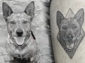 Nos hace falta vida para agradecer tanto amor que nos dan.  #tattoo #wipshadingtattoo #puntillismodearrastre #blackworktattoo #smalltattoo #dog #love #doglover #dogsofinstagram #dogs #perro #perros #amor @lienzovivo #tattooshop #bogota #colombia #miloguecha