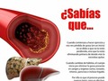 📍El consumo de avena nos ayuda a contrarestar el colesterol y la glucosa en sangre, si puedes incluirla siempre en tu alimentacion genial ya que es uno de los mejores carbohidratos, podemos utilizar tambien en este proceso de quema de grasa el Cla ( acido linoleico conjugado ) reduce niveles de colesterol y mantiene los niveles de glucosa en sangre bajos y refuerza el sistema inmunologico. 🏃🏼‍♀♨ No fuerces a tu sistema a cambios bastante acelerados quiza combinando mas de un termogenico ya que es imposible que un cuerpo reaccione a niveles top a los cuales nunca a sido sometido, el ejercicio prolongado acelera el metabolismo y convierte en energia las reservas de grasa, todo debe ser debidamente periodizado para asi buscar un equilibrio y ver resultados reales🐌🐌 Tips @briancastillo97 Miproteina tu mejor aliado  #salud #tips #mundofit #fitnees #musculo #masamuscular #alimentacion #Miproteina #Suplementacion
