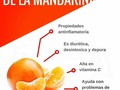 Tips Miproteina 👉🏼La mandarina es una excelente fuente de vitamina C, antioxidante que ayuda a prevenir el daño causado por los radicales libres, de esta manera proporciona protección contra varios tipos de cáncer e infecciones. Éstos son algunos de sus beneficios comprobados 🖍1. Colesterol. Las propiedades para reducir el colesterol de la sangre se encuentra en la cáscara de mandarina. Ahí se concentra 20 veces más la cantidad de compuestos llamados flavonas polimetoxilatados que en el jugo.🍊🍊 Se cree que estas sustancias ayudan a metabolizar mejor las grasas y triglicéridos depositados en el hígado 🖍 Aterosclerosis. confirman que la mandarina contiene nobiletina, un flavonoide que se encuentra en altas dosis en la corteza blanca de las mandarinas y es 10 veces más poderoso que la naringenina para combatir la aterosclerosis. La aterosclerosis es el endurecimiento de las arterias por acumulación de grasa. Provoca deterioro progresivo, disminución del flujo sanguíneo en el organismo, así como coágulos y hasta infarto. 🖍Cáncer. El consumo habitual de este fruto cítrico ayuda a prevenir algunos tipos de cáncer debido a los efectos del óxido nítrico. Investigadores de la Kyoto Prefectural University of Medicine de Japón señalan que tomar jugo natural de mandarina todos los días reduce los riesgos de desarrollar cáncer de hígado  Estos son 3 beneficios de tantos que nos puede brindar esta deliciosa fruta, ya sabes en vez de una empanada, y otro carbohidratos simple puedes añadir fruta a tu dieta Miproteina tu mejor aliado🍊🍊 #salud #tips #mundofit #fitnees #musculo #masamuscular #alimentacion #Miproteina #Suplementos #Asesorias #Gym #gymtime