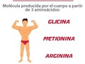 La creatina es una molécula que en realidad puede ser sintetizada por el cuerpo humano, aunque también se encuentra comúnmente en muchos alimentos incluyendo huevos, carne roja y ciertos tipos de mariscos.🦐🦐🦐 La creatina puede ser considerada un aminoácido, ya que está compuesto de múltiples aminoácidos: L-arginina, L-metionina y Glicina. Lo que es más, la creatina se encuentra naturalmente en prácticamente todas y cada una de nuestras células, donde funciona casi como una fuente de energía de reserva.🔋🔋🔋 Las funciones de la creatina aceleran el proceso natural en el cual el ATP, o Adenosine Tri-Phosphate, se produce internamente. Nuestras células utilizan el ATP como una de sus principales fuentes de energía, por lo que cuanto más ATP tengan, más dura y eficientemente podrán funcionar nuestras células.🧬🧬🧬 ➡Creatina HCL⬅  Creatina HCL, o creatina clorhidrato, es una creatina que ha sido molecularmente unida con ácido clorhídrico para aumentar su solubilidad y las tasas de absorción general.💯💯💯 La molécula HCL adjunta mejora la estabilidad de la creatina y asegura que puede ser mucho más fácil de romper y ser absorbida por el cuerpo. Por estas razones, no se requiere fase de carga, aunque algunos pueden argumentar que el monohidrato de creatina ni siquiera requiere una fase de carga.🔋🔋🔋 ➡Monohidrato de Creatina⬅  El monohidrato de creatina se considera la forma más popular de creatina en el mercado.  El monohidrato de creatina se conoce en el mundo del culturismo como algo básico para el crecimiento y la recuperación del músculo, así como funcionamiento atlético en el proceso.🏋🏾‍♀🏋🏽‍♂ Con el fin de recibir el máximo beneficio, las dosis óptimas se han encontrado en torno a 5 g al día. Hay quien prefiere tomarlo antes de entrenar y quien prefiere tomarlo después.⬅➡ . 💥🎉💥 😎😎😎 😊😊 👇👇👇👇👇👇👇  INFO:📲 301-345-7372 - 301-611-4971  #suplementos #Tips #Miproteina #asesorias #vidasana #gym #bodybuilding #yosoymiproteina #fitness #esfuerzo #motivación