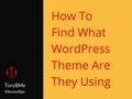 What WordPress Theme Are They Using? #websites #WordPress