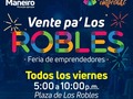 Como siempre la cita es de 5:00 a 10:00 pm en la plaza de los robles #viernesde #ventepalosrobles
