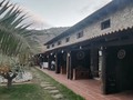 Um bom lugar para se sentir confortável com a família Natureza e coelhos selvagens que podem ser vistos à noite @casas_daserra #portosanto #praia #portugal #madeira
