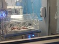 Mi Joya mas Preciosa, amo desde primer día de tu existencia Dios me lo dará pronto sano y salvo ya estarás con mami dándote mucho amor y cariño mi Joseph mi Rey de mi alma