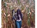 😂 😂 Como esta el maíz 🌽