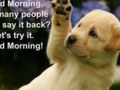 I wonder, if I said "Good Morning", 
how many people would say it back???