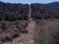 Pine Nuts road P09