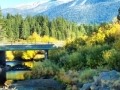 Sierra Fall Colours 05