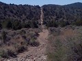 Pine Nuts road P09