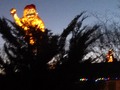 Abominable Snowman in a tree