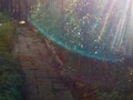 Early Morning Sun streaming through on the garden path