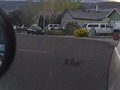 early morning Quail surveillance - rearview mirror perspective