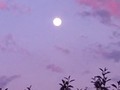 May Full Moon