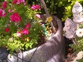 Rose Barrel & Gnome Homes