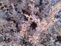 There's a hole in the ground cover...