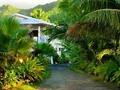 Looking up the road from Vara's beach house to the apts. Rarotonga, Cook Islands. Vara's is a great budget inn, just off the main island road and right on the beach of Muri lagoon!