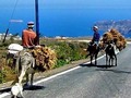 Three asses on the road to Perigos. #traveler #travelblogger