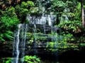 Russell Falls - #Tasmania #Australia