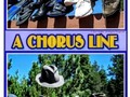 A Chorus Line - My shoes, boots, and flippers walking on thin air! 😀