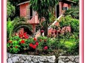 The Pink House - Kontogialos Vrachos, Kerkyra Greece