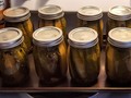 There's no room for a rabbi in my teeny tiny half-a-butt kitchen so I don't know just how #kosher my #DillPickles will be ... Fresh out of the cucumber hot tub, the pickles are cooling (undisturbed overnight) and now 35 minutes later the lids are clicking away as they lock in their seals of shelf-stable freshness (not to be confused with stable shelves) ...