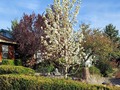 Spring has finally Sprung