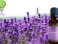 4 Best Ways To Use Essential Oils At Home