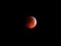 Red Moon Eclipse