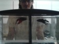 Beta Fish