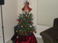 My Little Tree