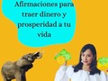 Nuestros pensamientos son muy poderosos y son capaces de producir vibraciones positivas. Voy directo al grano.  Mi estado base es estar siempre agradecida y mis frase que siempre ME las digo son: - Atraigo el dinero facilmente - Mientras más contribuyo a los demás más dinero soy capaz de generar. - Entre más disfruto la vida y me muevo más dinero produzco.  Otras que puedes ver si resuenas son: · Amo el dinero y el dinero me ama · El dinero me persigue. · Soy un imán de dinero · Dios es tan grande que permite abundancia para todos. · Estoy recibiendo dinero ahora mismo · Tengo más que suficiente dinero · Estoy listo para recibir más y más dinero · Hay más que suficiente dinero para todos · Atraigo dinero naturalmente  Escoge 2 y repítelas diariamente.  Mi sueño es estar al lado de un elefante y tocarlo, experimentar esa sensación. Ellos representan para mi la sabiduría y la prosperidad.  #thailandia🇹🇭 #buscandolafrecuencia  #prosperidad #lenguaje  #elephant