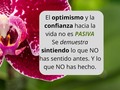 Para poder SENTIR, hay que salir del mundo Pasivo. La verdadera confianza nace de la pasión por la VIDA. Verla de verdad, permitirnos mirar, reducir un poco la velocidad a la que vamos y simplemente mirar. Simplemente con hacer esto se abre ante nosotros la belleza y la fascinación, y el corazón empieza a latir con latidos de alegría. La pasión es gusto, es disfrute, es atracción. Todo esto se abre de manera natural cuando abrimos nuestra mirada.   En las mañanas cuando entreno 🚴🏻‍♀️, voy concentrada y por lapsos observo y disfruto lo que veo, lo agradezco.   En la medida que cultivamos este hábito, la pasión por la vida se va instalando en nosotros, y cuanto más fuertes son estas raíces, bases, hábitos más capacidad tendremos para experimentar la pasión en la pareja, en la profesión o en cualquier otro ámbito de nuestra vida.  No busques la pasión fuera de ti, en una persona, en un trabajo o en actividades.  BÚSCALA primero dentro de TI, búscala en tu mirada. Enamórate de la vida y la pasión vendrá por añadidura. Y para enamorarte de la vida, abre tu mirada para poder ver toda la belleza, todo el misterio y toda la fascinación que la vida tiene.   Y los problemas y las dificultades que pueda formar parte de tu experiencia de hoy, seguirán ahí y tendrás que ocuparte de ellos, pero no podrán arruinar el disfrute de tu existencia.  Vivir con pasión es en primer lugar enamorarnos de la vida, así que empecemos por ahí si es que aún no lo estamos.   Te dejo un ejercicio, ¿si vivieras hasta los 77 años, cuántos años de vida te quedan?, saca el número.  ¿De esos años, cuántos pueden ser bien activos?  ¿Cómo los quieres vivir? ¿Qué te queda por hacer, por conocer, por experimentar?  #buscandolafrecuencia #pazinterior #creciendo #experimentando #underwater #pasara #seraeterno  #answer