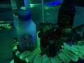 Gracias Dios por un año más de vida y permitirme compartir con las personas que más quiero 🎉🎂🥰❤️🥂🥳