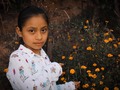 Reto del día  #theclickchallenge2020  @lizpinto10  La flor de cempasúchil