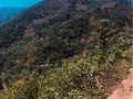 Foto panorámica - Rio Cajonos.