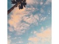✨H A R D F E E L I N G S✨ . . . #sunset #losangeles #palmtrees #summer #california