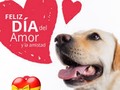 #CeseALasSanciones