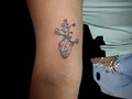 Citas y consultas 62052651