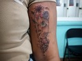 Citas y consultas 62052651