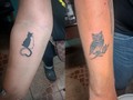 Citas y consultas 62052651