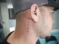 Citas y consultas 62052651