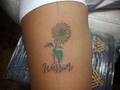 Citas y consultas 62052651