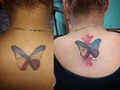 Citas y consultas 62052651