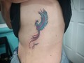 Citas y consultas 62052651