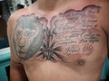 Proyecto pecho completo  62052651