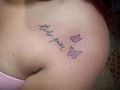 Citas y consultas 62052651