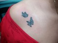 Citas y consultas 62052651