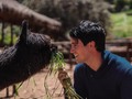 Y fueron felices para siempre 😅💍❤️ #cusco #cuscoperu #peru #alpacas #alpacasofinstagram #fotostumblr #fotografia #viajar #photography #photo #fotos #travelgram