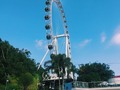 🤩 #bigwheel #balneariocamboriu #camboriubeach
